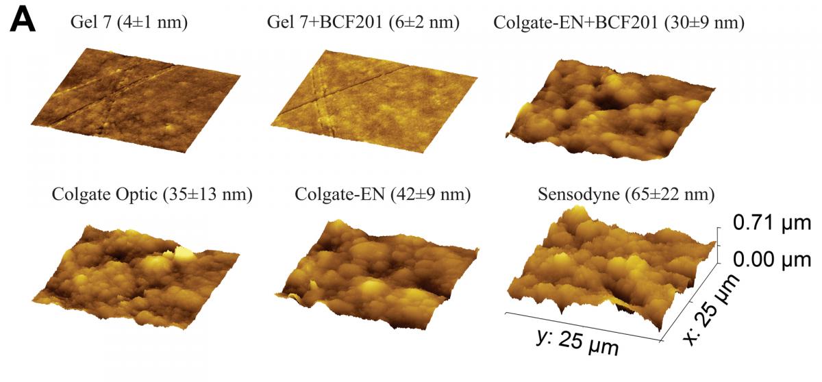 figure 3A - Representative atomic force microscope images of resin-based composite